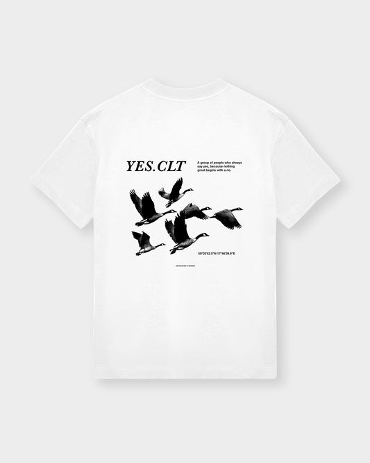 YES. CLT Tee
