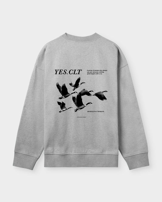 YES. CLT Boxy Sweatshirt